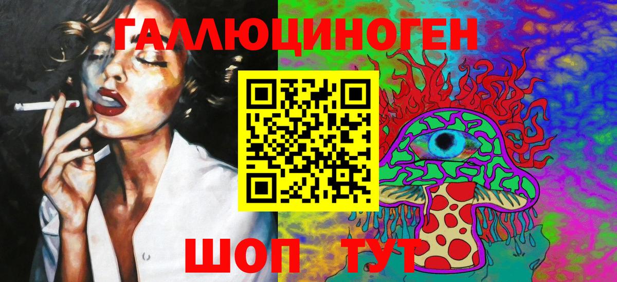 Галлюциногенные грибы Psilocybe Саранск