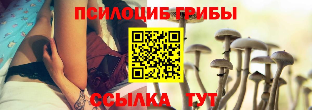 Галлюциногенные грибы Magic Shrooms  Вход с VPN  наркотики  Саранск 
